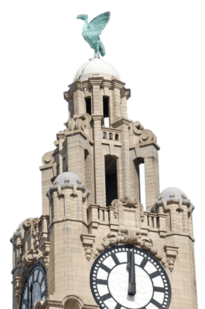 liver-bird